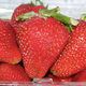 Illustration for article titled Strawberries: The Snacktaku Review